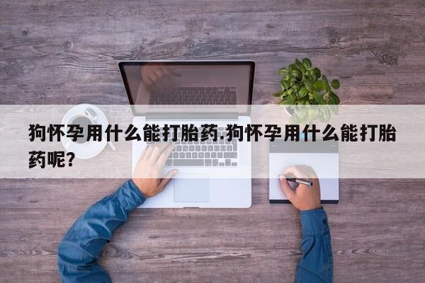 米非司酮片打胎药专卖微信狗怀孕用什么能打胎药.狗怀孕用什么能打胎药呢？