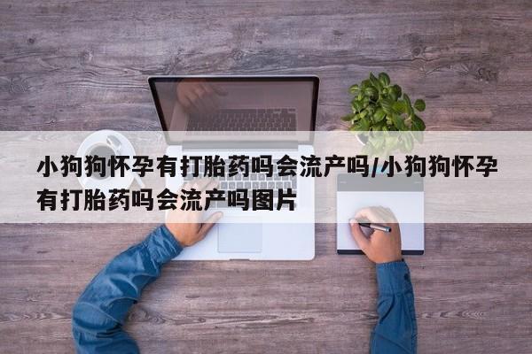 米非司酮片打胎药专卖微信小狗狗怀孕有打胎药吗会流产吗/小狗狗怀孕有打胎药吗会流产吗图片