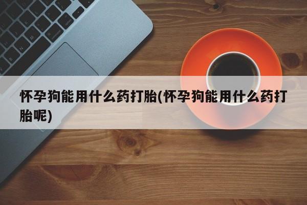 米非司酮片打胎药专卖微信怀孕狗能用什么药打胎(怀孕狗能用什么药打胎呢)