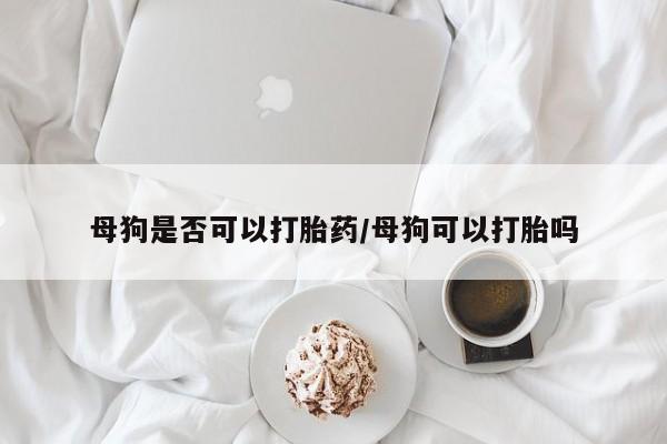 米非司酮片打胎药专卖微信母狗是否可以打胎药/母狗可以打胎吗